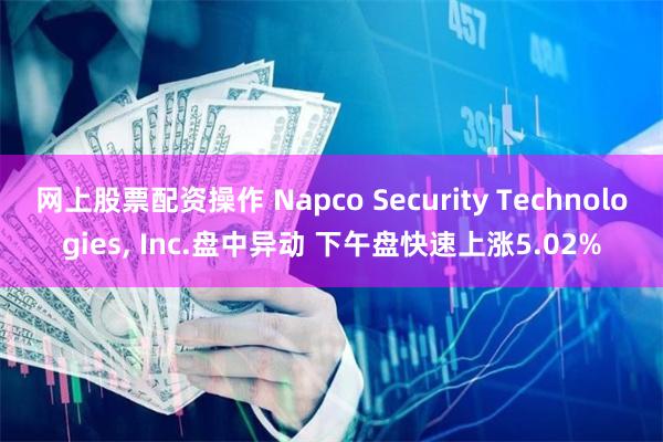 网上股票配资操作 Napco Security Technologies, Inc.盘中异动 下午盘快速上涨5.02%