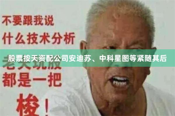 股票按天资配公司安迪苏、中科星图等紧随其后